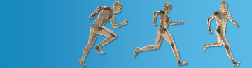 Orthopaedic Rehabilitation - VC BioKinetics