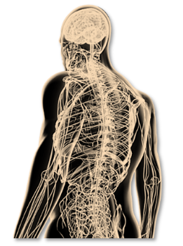 What is a biokineticist - VC BioKinetics